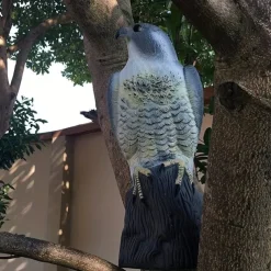 Outdoor Bird Scarecrow Deterrent - Lifelike Hawk Falcon Hunting Decoy, High-Quality Pest Control, Durable Plastic, Black and Yellow for Garden and Farmland, Bird Scare Devices