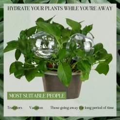 17oz Automatic Plant Watering Globes Plastic Self Watering Plant Waterer Watering Bulbs for Indoor Plants Drip Irrigation Plant Watering Devices with Slow Release Control for Garden