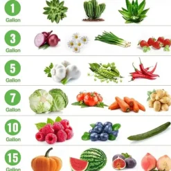 5-Pack Plant Grow Bags3/5/7/10Gallons Plant Fabric Pots Garden Container Heavy Duty Aeration Fabric Pots Thickened Nonwoven Fabric Grow Bags With Flap Handles For Veggies Flower Planter