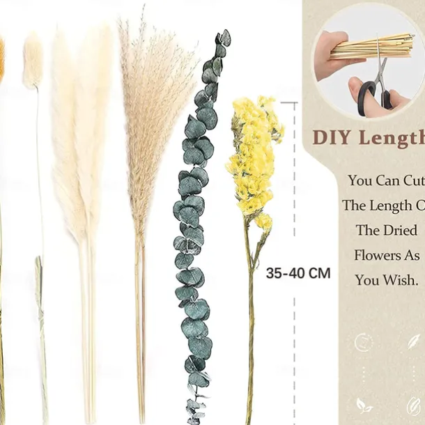 Pampas Grass Decor Set - Natural Dried Flowers for DIY Arrangements, Non-Toxic Home & Wedding Decor, Use without Power