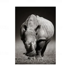 1pc Animal Wall Art Canvas Giraffe Elephant Posters And Prints Modern Wall Art Picture For Living Room No Frame