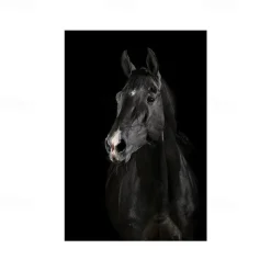 1pc Animal Wall Art Canvas Giraffe Elephant Posters And Prints Modern Wall Art Picture For Living Room No Frame