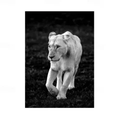 1pc Animal Wall Art Canvas Giraffe Elephant Posters And Prints Modern Wall Art Picture For Living Room No Frame