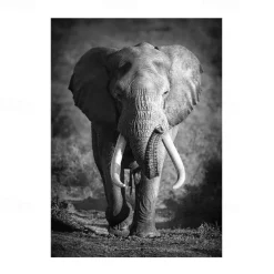 1pc Animal Wall Art Canvas Giraffe Elephant Posters And Prints Modern Wall Art Picture For Living Room No Frame