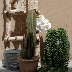 1pc Artificial Succulents Hanging Plants, Fake String Of Pearls Greenery Plants, For Wall Wedding Party Home Decor, Outdoor Garden Yard Decor, Indoor Outdoor Decor, Spring Summer Decor