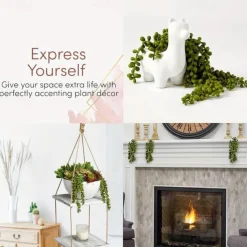 1pc Artificial Succulents Hanging Plants, Fake String Of Pearls Greenery Plants, For Wall Wedding Party Home Decor, Outdoor Garden Yard Decor, Indoor Outdoor Decor, Spring Summer Decor