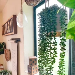 1pc Artificial Succulents Hanging Plants, Fake String Of Pearls Greenery Plants, For Wall Wedding Party Home Decor, Outdoor Garden Yard Decor, Indoor Outdoor Decor, Spring Summer Decor