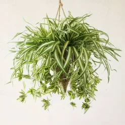 1pc 60CM Large Artificial Hanging Plants, Fake Spider Plants for Home Indoor Decor, Fake Greenery for Home Garden Office Wedding Decoration