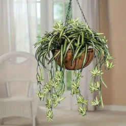 1pc 60CM Large Artificial Hanging Plants, Fake Spider Plants for Home Indoor Decor, Fake Greenery for Home Garden Office Wedding Decoration