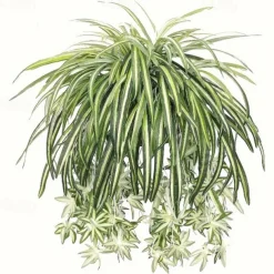 1pc 60CM Large Artificial Hanging Plants, Fake Spider Plants for Home Indoor Decor, Fake Greenery for Home Garden Office Wedding Decoration