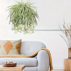 1pc 60CM Large Artificial Hanging Plants, Fake Spider Plants for Home Indoor Decor, Fake Greenery for Home Garden Office Wedding Decoration