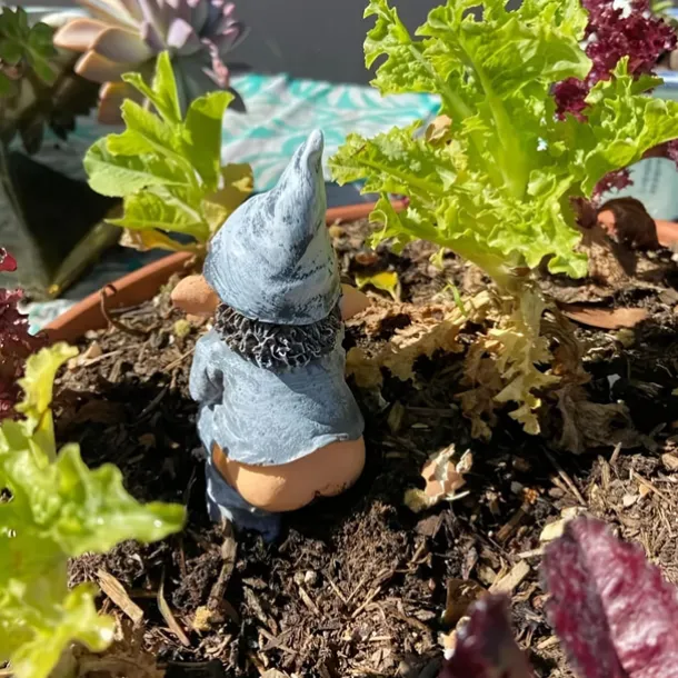 1pc Garden Gnome Outdoor Statue, Naughty Knome Figurine Lawn Ornament Dwarf Sculpture Patio Yard Decor Landscape Porch Decoration Outside Gifts