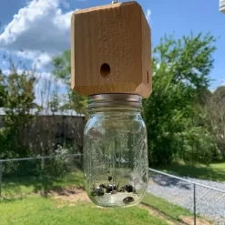 1pc Premium Natural Wooden Carpenter Bee Trap - Outdoor Hanging, Box Style Insect Trap