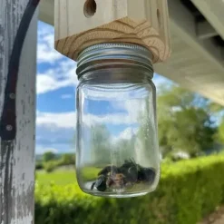 1pc Premium Natural Wooden Carpenter Bee Trap - Outdoor Hanging, Box Style Insect Trap