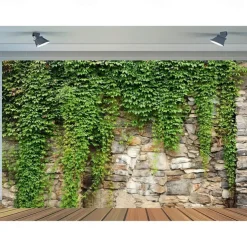 1pc Spring Garden Leaves Falling Horticultural Plants Grunge Stone Wall Green Banner Leaves And Branches Covering Vintage Architecture Photo Background