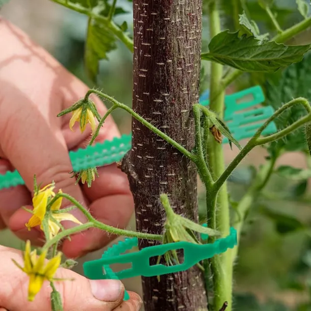 100Pcs Adjustable Plant Ties Garden Plant Twist Ties Planting Supples Garden Tools