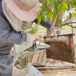 9pcs Beekeeping Tool Kit for Beginners - Durable Stainless Steel, Wood & Plastic Tools with Variety of Beehive Accessories - Ideal Gift Set for Aspiring Beekeepers, Beekeeping Supplies