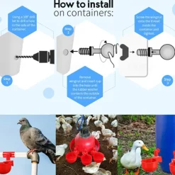 10pcs Chicken Drinking Cup Automatic Drinker Chicken Feeder Plastic Poultry Waterer Drinking Water Feeder for Chicks Duck Goose Quail