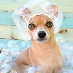 100pcs Disposable Shower Caps,Multi-Purpose Thickening Elastic Bath Cap Plastic Waterproof Clear Shower Caps Bath Shower Hair Caps Women Spa,Home Use, Hotel and Hair Salon, Portable Travel