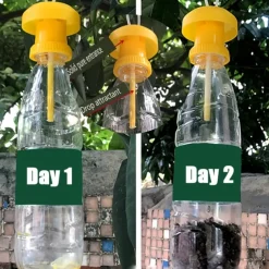 1pcs Fruit Fly Hijab, Pest Trap for Orchard, Perfect for Sweet Potato & Vegetable Fields, Orchard Fruit Protection Easy to monitor traps