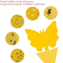 20Pcs Fruit Fly Traps Fungus Gnat Traps Yellow Sticky Bug Traps Non-Toxic and Odorless for Indoor Outdoor Use Protect The Plant.