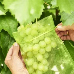 50Pcs Grapes Fruit Protection Bags Garden Mesh Bags Agricultural Orchard Pest Control Anti-Bird Netting Vegetable Bags