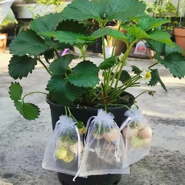 50Pcs Grapes Fruit Protection Bags Garden Mesh Bags Agricultural Orchard Pest Control Anti-Bird Netting Vegetable Bags