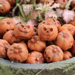 20pcs Halloween Mini Pumpkin Skull Set - Resin Party and Garden Decorations - Micro Landscape Accessories