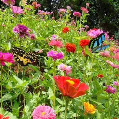 20pcs Metal Wire Butterfly Plant Stakes Garden Decor Butterfly Stakes Outdoor Yard Planter Flower Pot Bed Yard Garden Lawn Decor