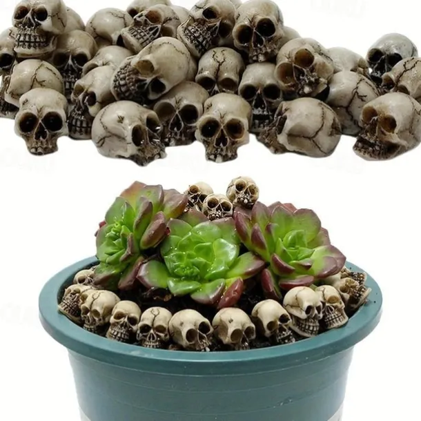 20pcs Mini Skulls, Halloween Small Skeleton Head Flowerpot Decor Realistic Skull Crafts Garden Decoration Bonsai Courtyard Ornaments