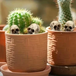 20pcs Mini Skulls, Halloween Small Skeleton Head Flowerpot Decor Realistic Skull Crafts Garden Decoration Bonsai Courtyard Ornaments