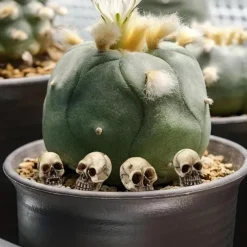 20pcs Mini Skulls, Halloween Small Skeleton Head Flowerpot Decor Realistic Skull Crafts Garden Decoration Bonsai Courtyard Ornaments