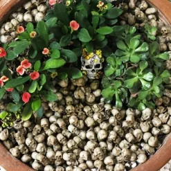 20pcs Mini Skulls, Halloween Small Skeleton Head Flowerpot Decor Realistic Skull Crafts Garden Decoration Bonsai Courtyard Ornaments