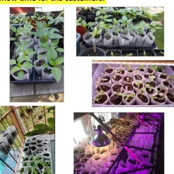 100pcs Nursery Growing Bags, Non-Woven Fabric Seedlings Grow Bag For High Seedling Survival Rate, Plant Bags For Planting, Garden Seed Starters Pouch