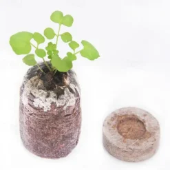 20pcs Peat Pellet Seed High Quality Plug Seed Starter Practical Pallet Seedling Block Soil Block Nutrient Soil Block