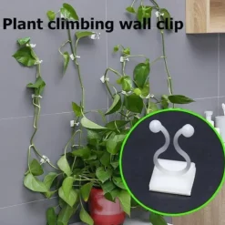 20pcs Plant Climbing Wall Fixture Clips, Vine Fixer Invisible Self-Adhesive Hook Plant Vine Traction Wall Vines Fixture Wall Sticky Hook Vines Fixing Clip Vines Holder