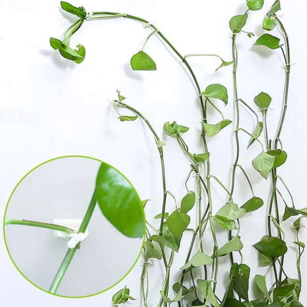 20pcs Plant Climbing Wall Fixture Clips, Vine Fixer Invisible Self-Adhesive Hook Plant Vine Traction Wall Vines Fixture Wall Sticky Hook Vines Fixing Clip Vines Holder