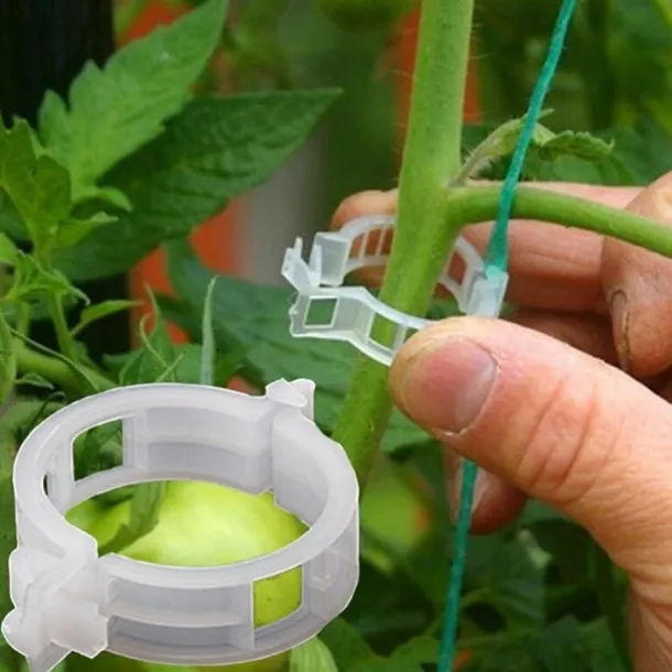50pcs Plant Vines Fixed Clip Tied Buckle Lashing Hook Agricultural Greenhouse Vegetable Gadget Garden Plastic Planter Trelli