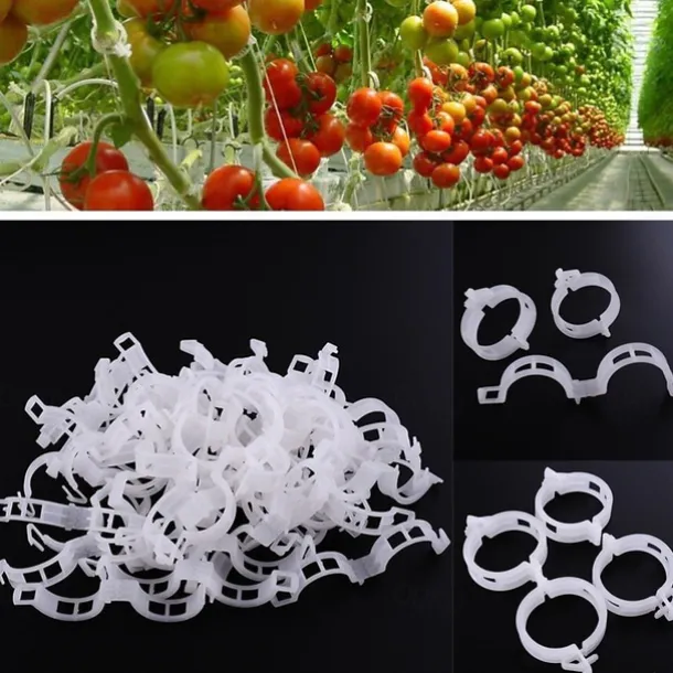 50pcs Plant Vines Fixed Clip Tied Buckle Lashing Hook Agricultural Greenhouse Vegetable Gadget Garden Plastic Planter Trelli