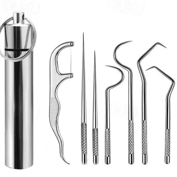 7Pcs Portable Stainless Steel Toothpicks Pocket Set Reusable Metal Toothpicks Cleaning Kit with Holder for Outdoor Picnic Camping Traveling