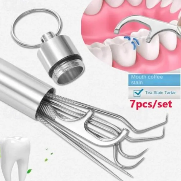 7Pcs Portable Stainless Steel Toothpicks Pocket Set Reusable Metal Toothpicks Cleaning Kit with Holder for Outdoor Picnic Camping Traveling