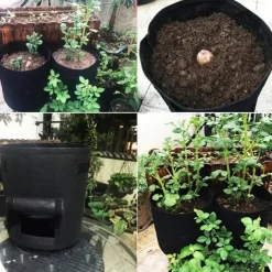 2pcs Potato Grow Bags 4/7/10 Gallon Inflatable Waterproof Fabric Sweet Potato Planter Window Vegetable Peanut Grow Box Nursery Garden Bucket