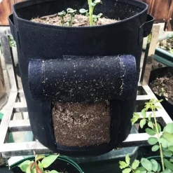 2pcs Potato Grow Bags 4/7/10 Gallon Inflatable Waterproof Fabric Sweet Potato Planter Window Vegetable Peanut Grow Box Nursery Garden Bucket