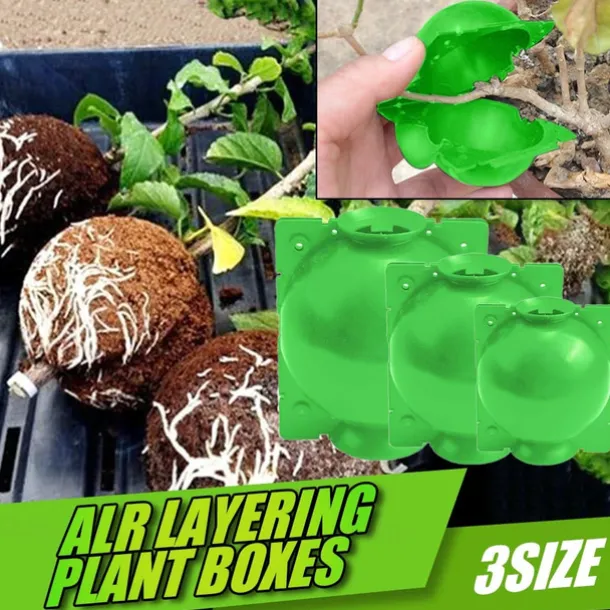 5pcs Reusable Plant Rooting Device Plant Rooting Grow Box High Pressure Propagation Ball Grafting Device Botany Root Controller Garden Plant Rooter Box For Rose Tree Fruit Bush Magnolia