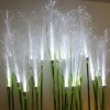 2PCS Solar Pathway Lights, Waterproof LED Bulrush Fiber Garden Lights for Christmas Outdoor Garden & Walkway Decor