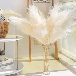 5pcs Wedding Mini Pampas Reed Grass INS Wind Simulated Flower Factory Home Decoration Wholesale Artificial Flowers
