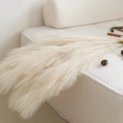 5pcs Wedding Mini Pampas Reed Grass INS Wind Simulated Flower Factory Home Decoration Wholesale Artificial Flowers