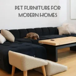 Pet Dog Stair Folding Chair Space Saving 2 in 1 Comfortable Climbing Step for Pets High Bed Dog Lamp Kitten Puppy Small Animal