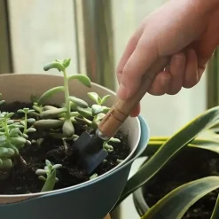 3-Piece Deluxe Garden Tool Set - Lightweight Aluminum Shovel & Rake for Succulent Plants Flower Beds & Loose Soil - Ergonomic Handle Ideal for Compact Gardening Needs