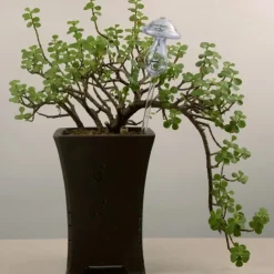 Plant Watering Spike Glass Mushroom Shape Plant Automatic Watering Bulb,for Vacation Potted Plant Watering